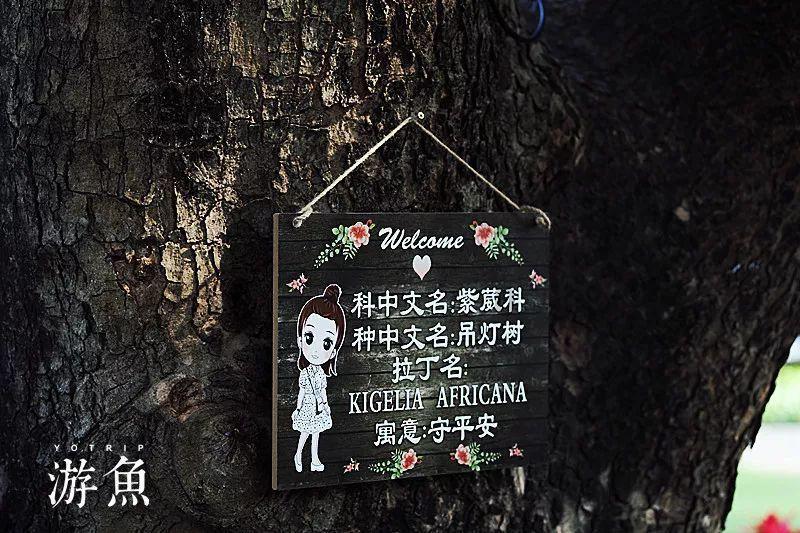 总是在消极的情绪中走不出来怎么办？游戏画面