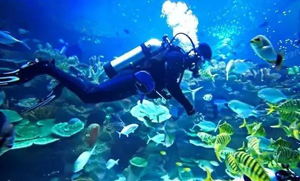 海盗的寻宝之旅